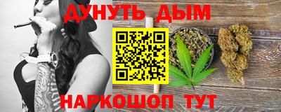 сатива Ставрополь